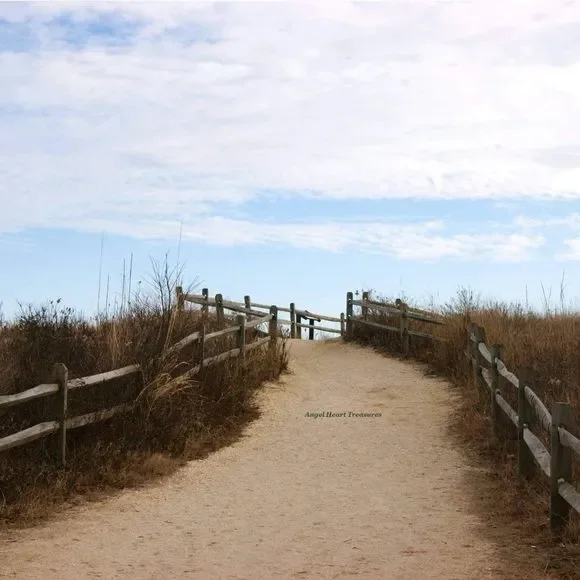 4x6 Original Photography Beckoning Beach Path - Picture 1 of 1